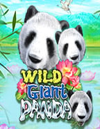 slot ai เว็บ เกม สล็อต แตก ง่าย ได้ เงิน จริง: ทดลองเล่น